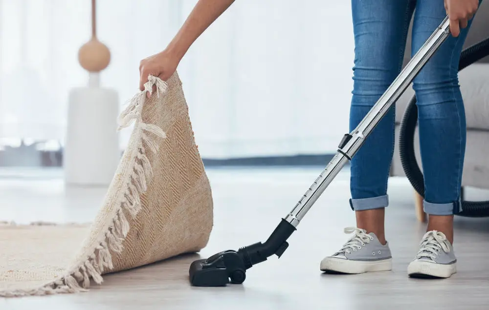 Dust Off Yarn Rug Cleaning