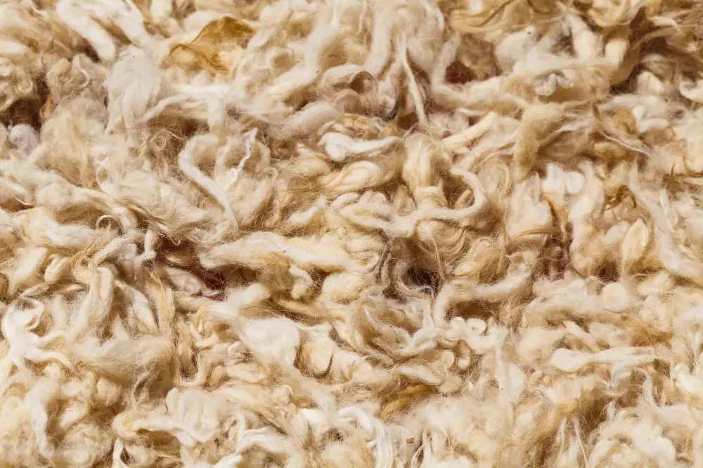 Natural Wool Fiber for Dyeing