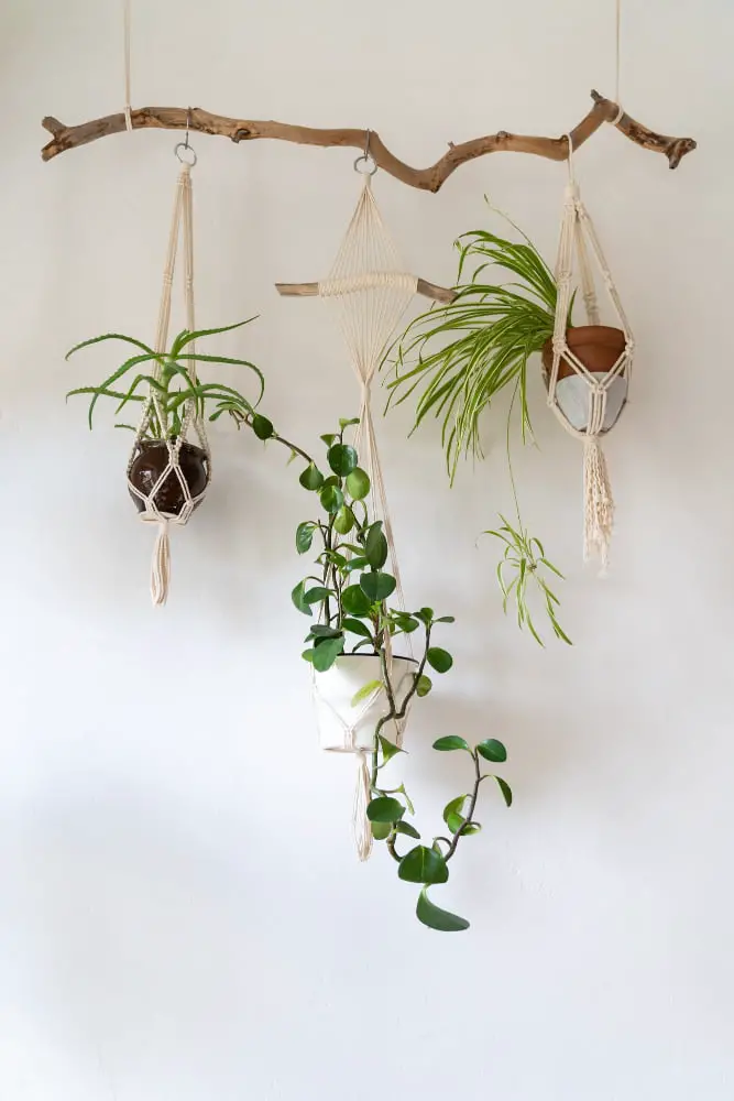 Macrame Plant Hanger Cotton Yarn