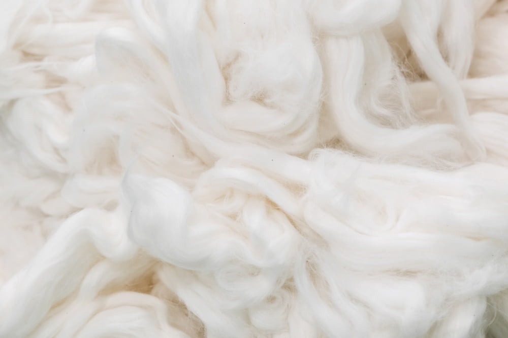 fluffing raw cotton fiber