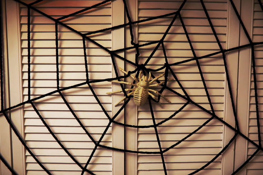 Display Your Yarn Spider Web Windows