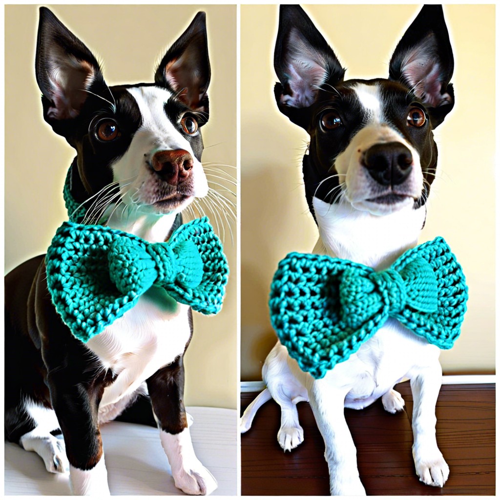 bow tie for pets