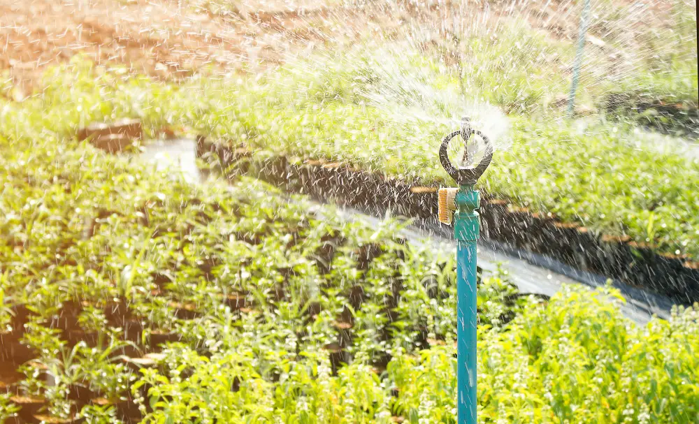 Efficient Watering Tools