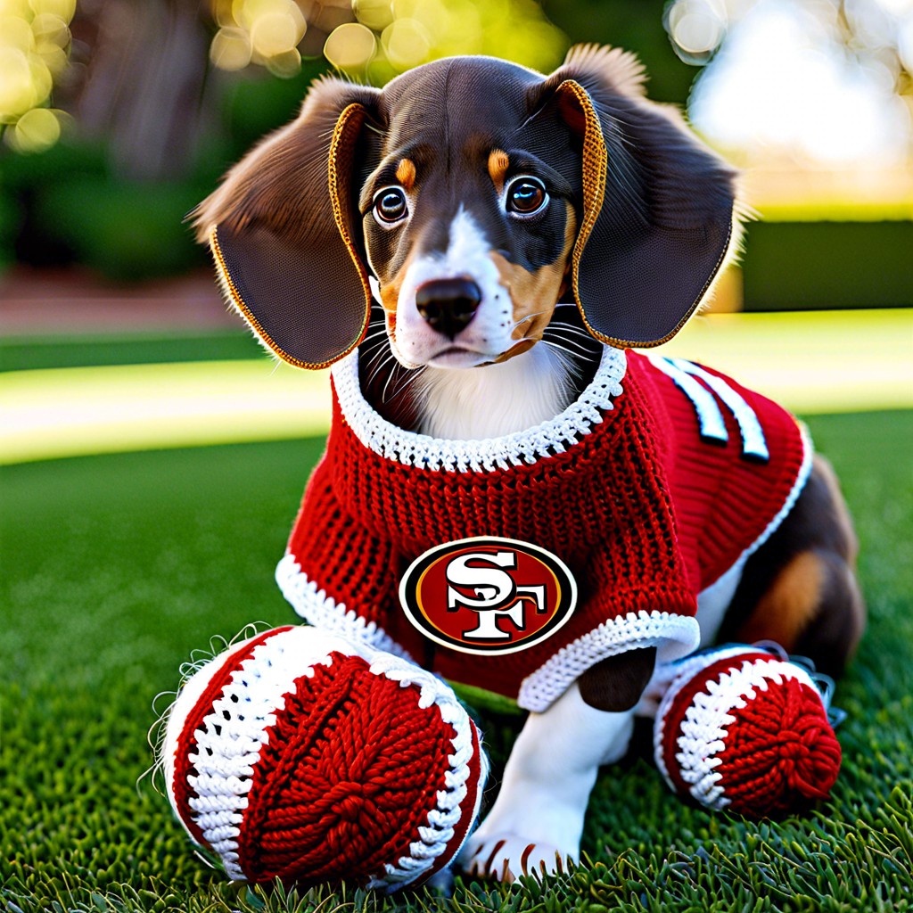 49ers dog sweater